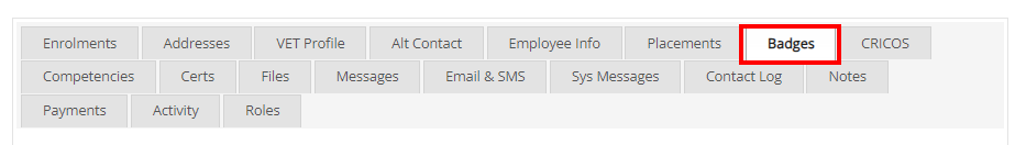 Profile Badges Tab.png